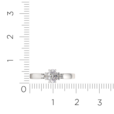 Кольцо 0210696.ZZ