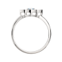 Кольцо 02S40102.ZZ