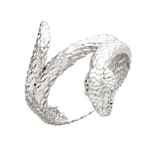 Кольцо 0200283.ZZ Кольцо 0200283.ZZ