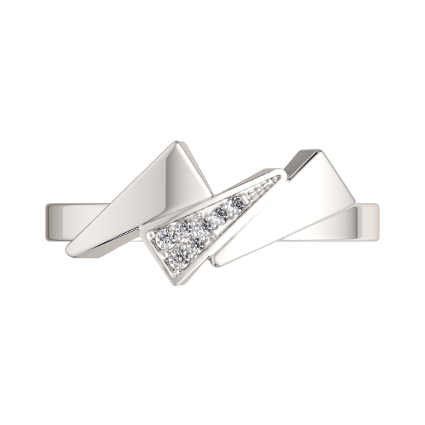 Кольцо 02101002.ZZ