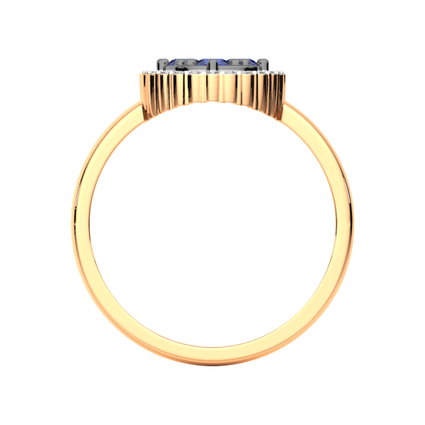 Кольцо 2D10224.14K.R.ZZ