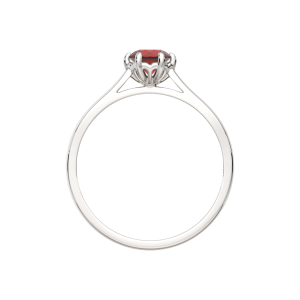 Кольцо 02S5036.ZZ