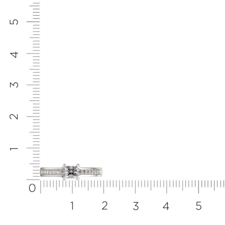 Кольцо 0210603.ZZ