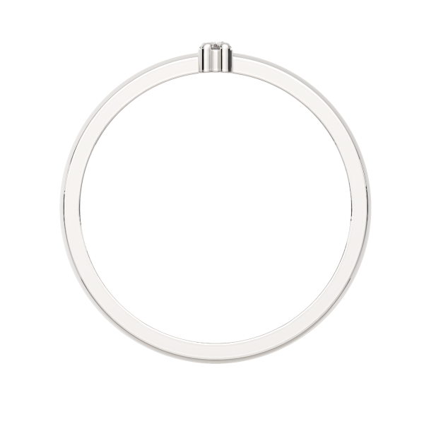 Кольцо 0210817.ZZ