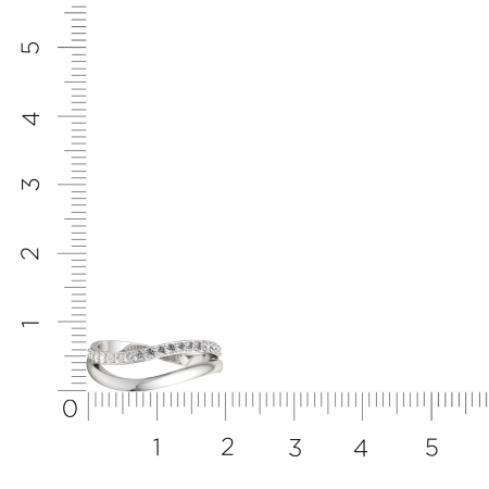 Кольцо 0210896.ZZ