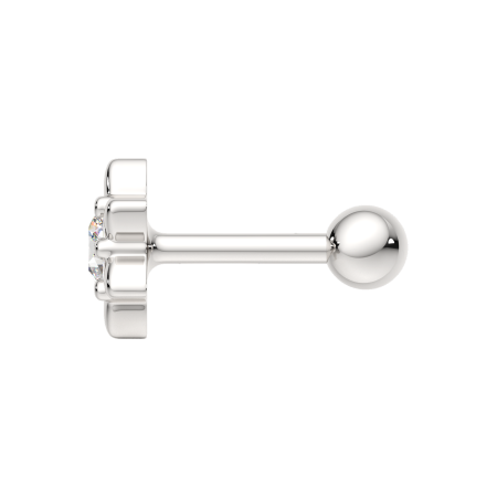 Пирсинг 0710013.ZZ