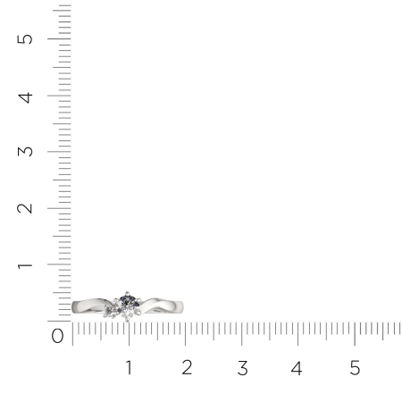 Кольцо 0210545.ZZ Кольцо 0210545.ZZ