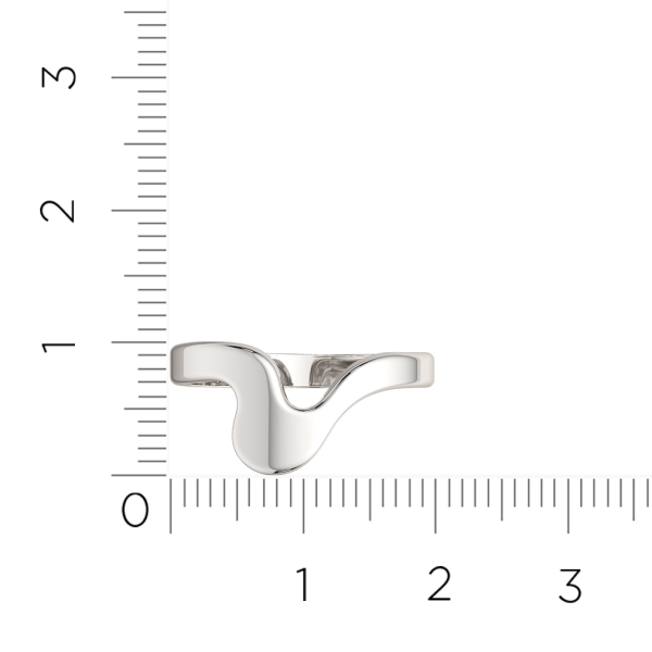 Кольцо 0200300.ZZ