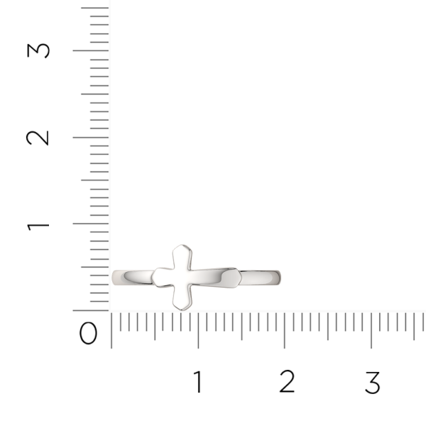 Кольцо 0200356.ZZ