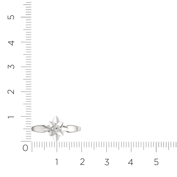 Кольцо 02D0077.ZZ Кольцо 02D0077.ZZ