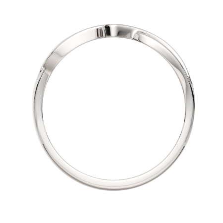 Кольцо 0210646.ZZ Кольцо 0210646.ZZ