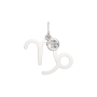 Подвеска 0401011.ZZ