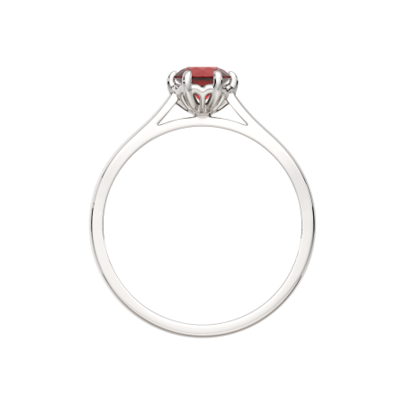 Кольцо 02S5036.ZZ