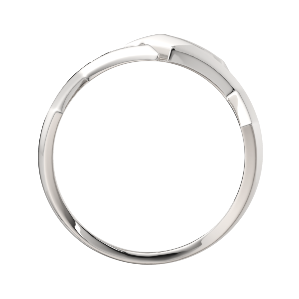 Кольцо 0200123.ZZ