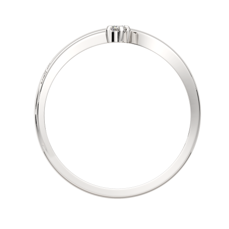 Кольцо 0210425.ZZ