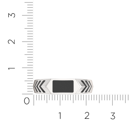 Кольцо 0200387.ZZ
