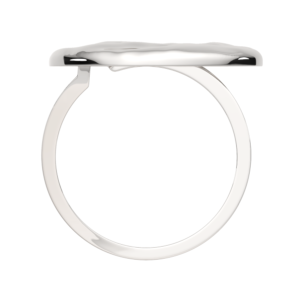 Кольцо 0200255.ZZ