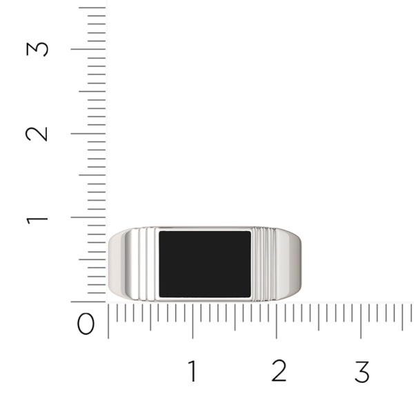 Кольцо 0200389.ZZ