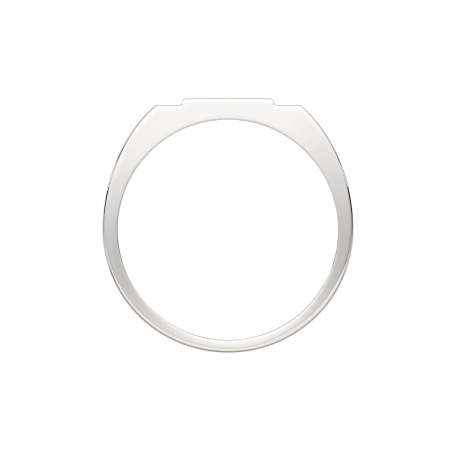 Кольцо 02101185.ZZ