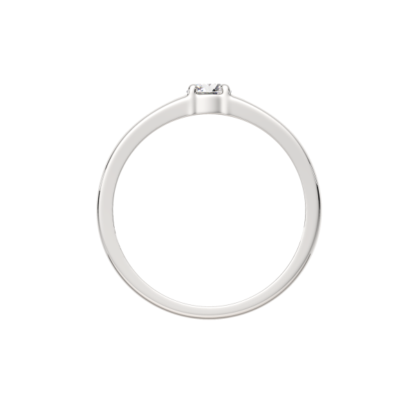 Кольцо 02101196.ZZ