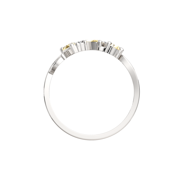 Кольцо 02S70161.ZZ