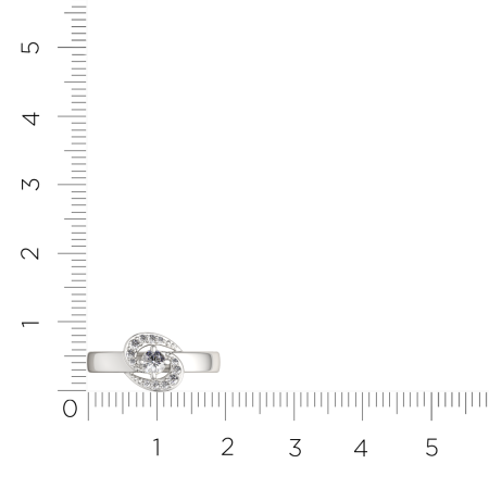 Кольцо 0210995.ZZ