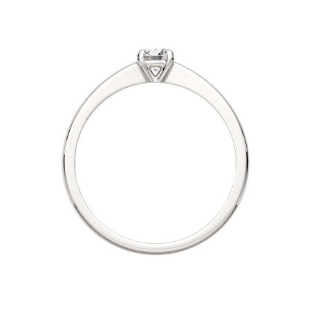 Кольцо 02101057.ZZ