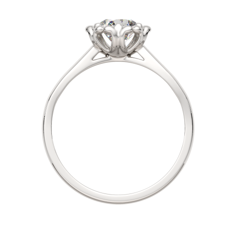 Кольцо 02101172.ZZ