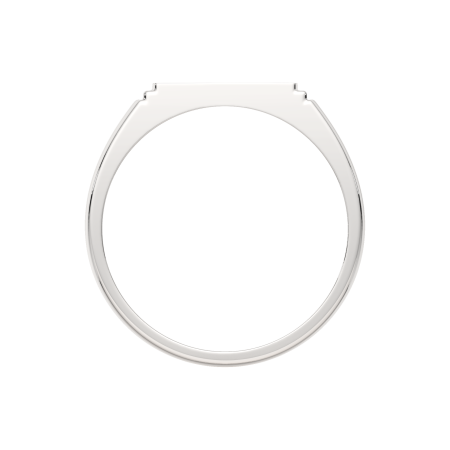 Кольцо 0200388.ZZ