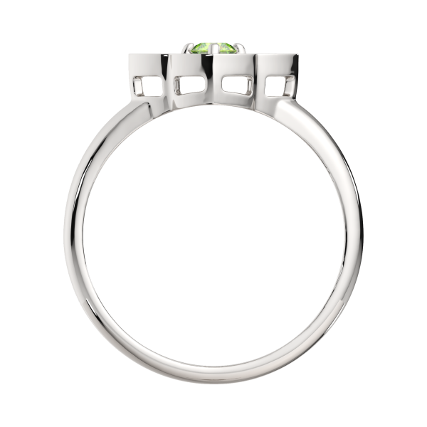 Кольцо 02S80102.ZZ