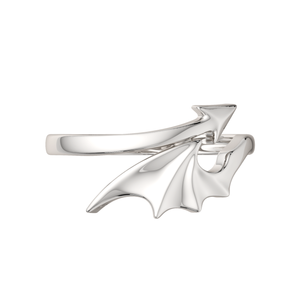 Кольцо 0200209.ZZ Кольцо 0200209.ZZ