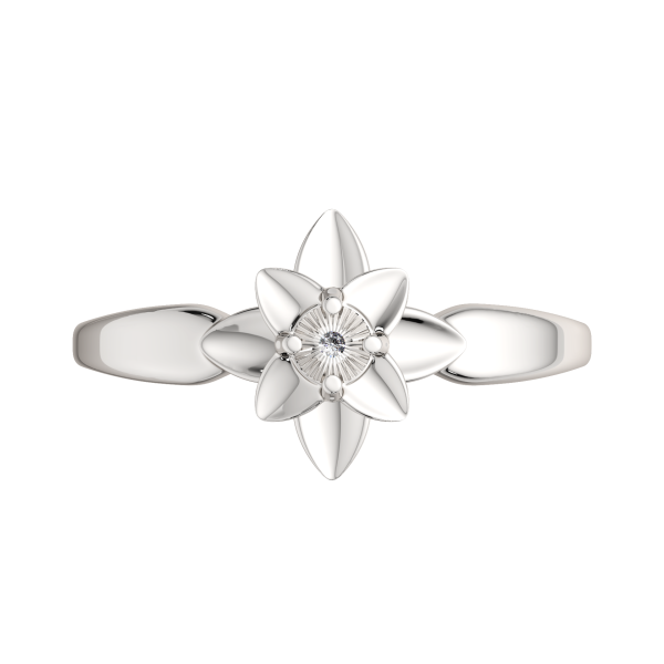 Кольцо 02D0077.ZZ Кольцо 02D0077.ZZ