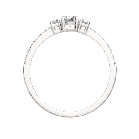 Кольцо 02101023.ZZ Кольцо 02101023.ZZ