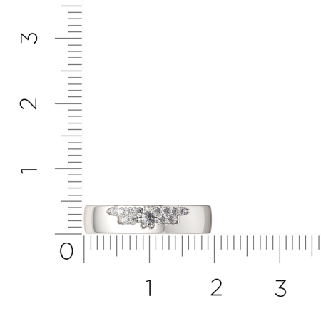 Кольцо 0210951.ZZ