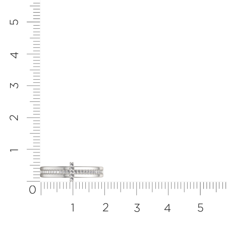 Кольцо 0210895.ZZ