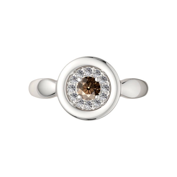 Кольцо 02S9088.ZZ