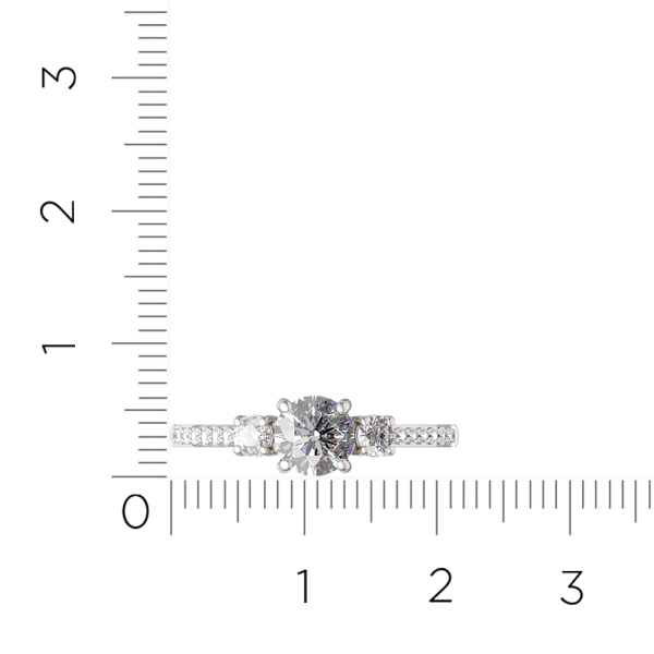 Кольцо 02101086.ZZ