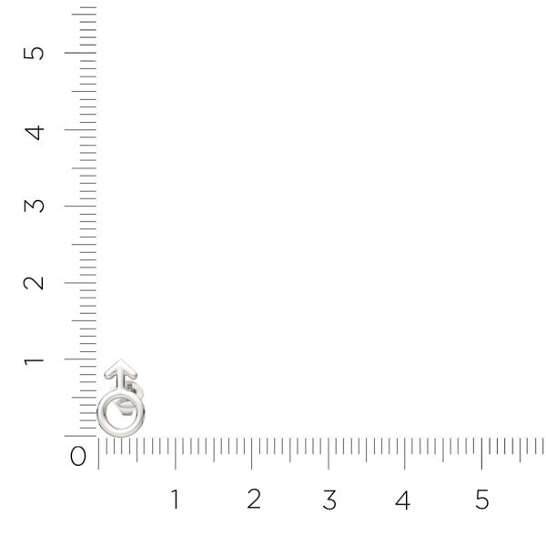 Серьги 0300215.ZZ Серьги 0300215.ZZ