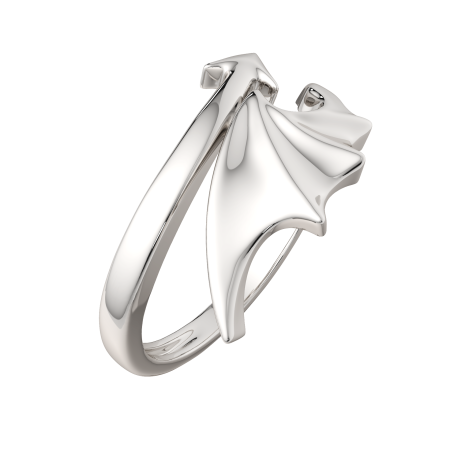 Кольцо 0200209.ZZ