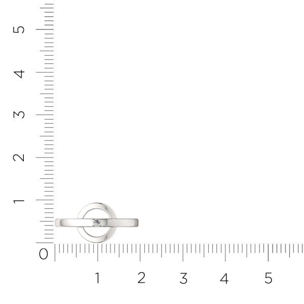 Кольцо 02D0030.ZZ