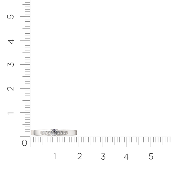 Кольцо 0210469.ZZ