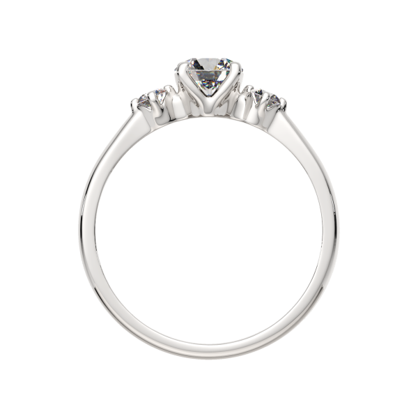 Кольцо 02101079.ZZ