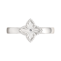 Кольцо 02D0109.ZZ
