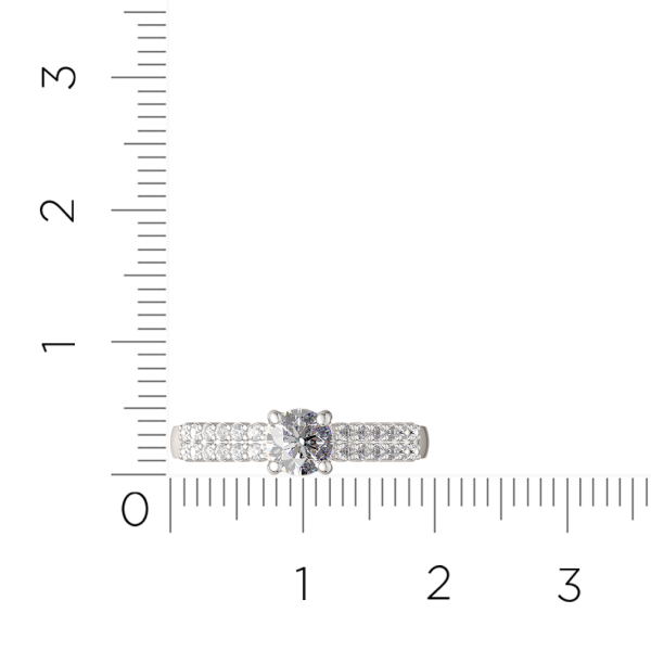 Кольцо 02101062.ZZ