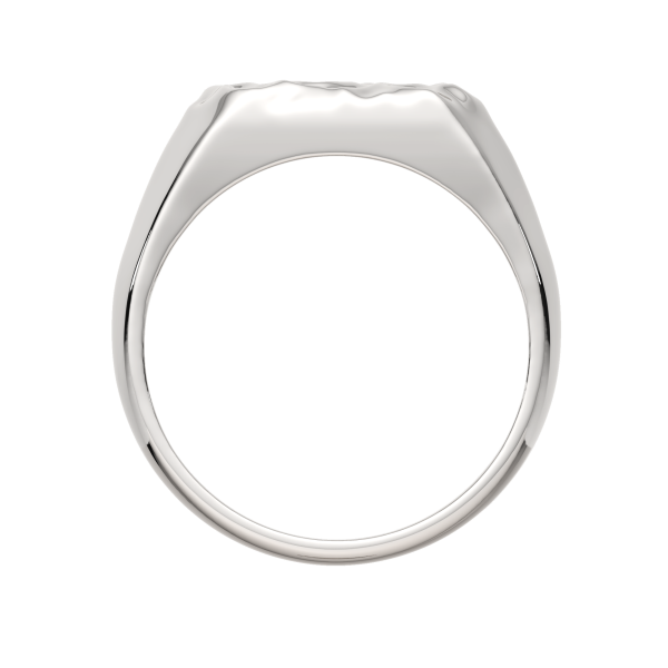 Кольцо 0200227.ZZ