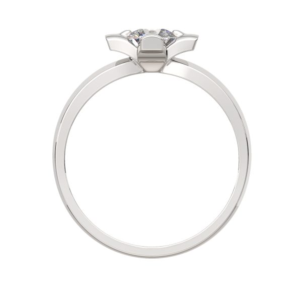 Кольцо 02101065.ZZ