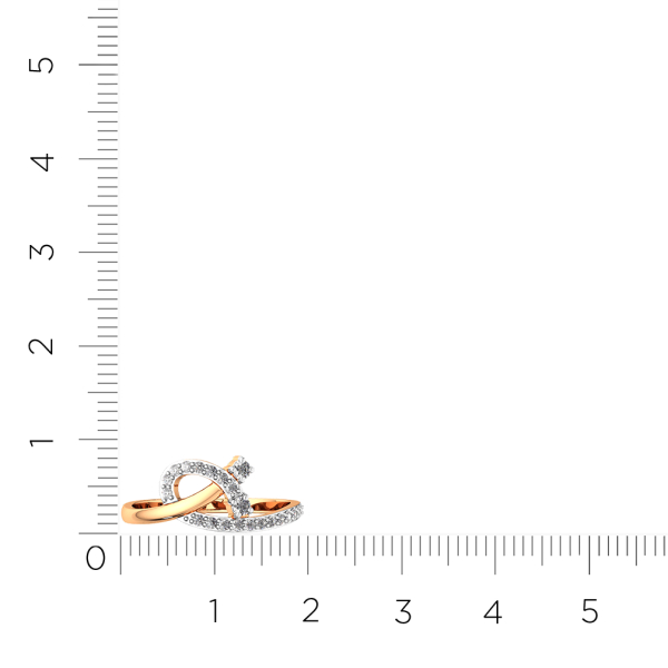 Кольцо 2101190.14K.R.ZZ