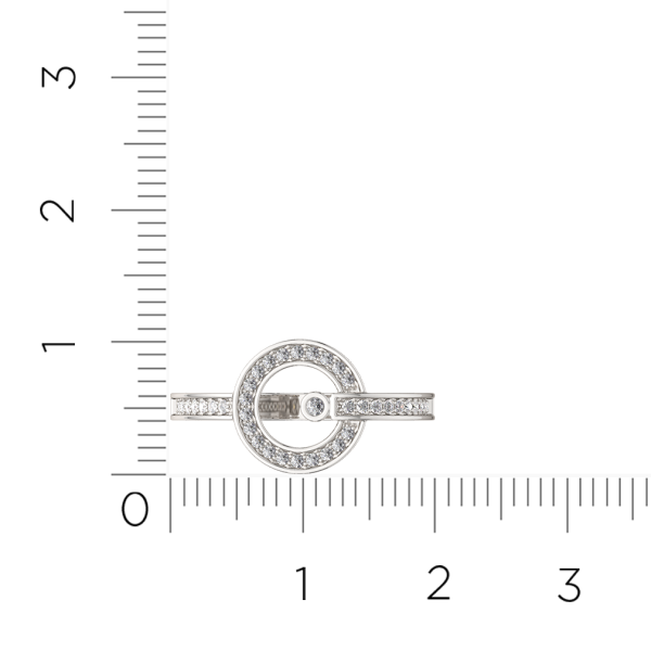 Кольцо 0210905.ZZ