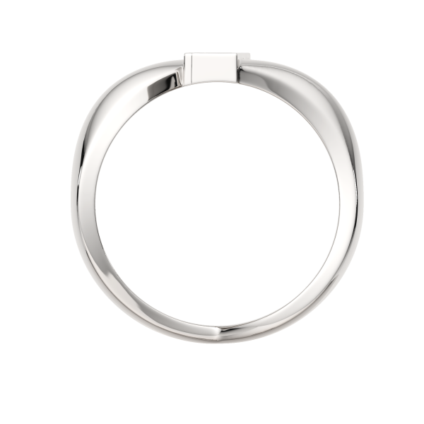 Кольцо 0210716.ZZ