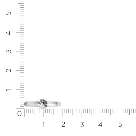 Кольцо 0210731.ZZ